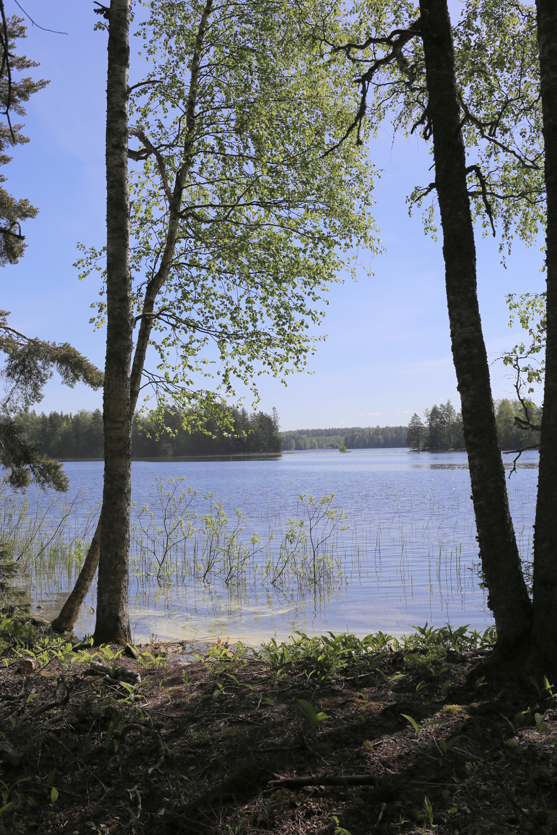 HEI, ME RAKENNETAAN! - muotoseikka